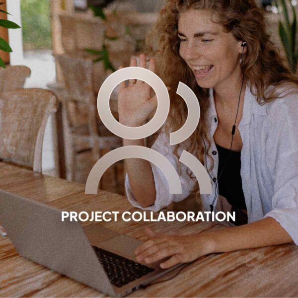 Project Collaboration